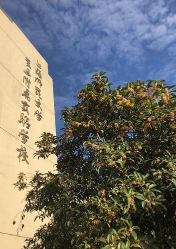 上海师范大学第三附属实验学校