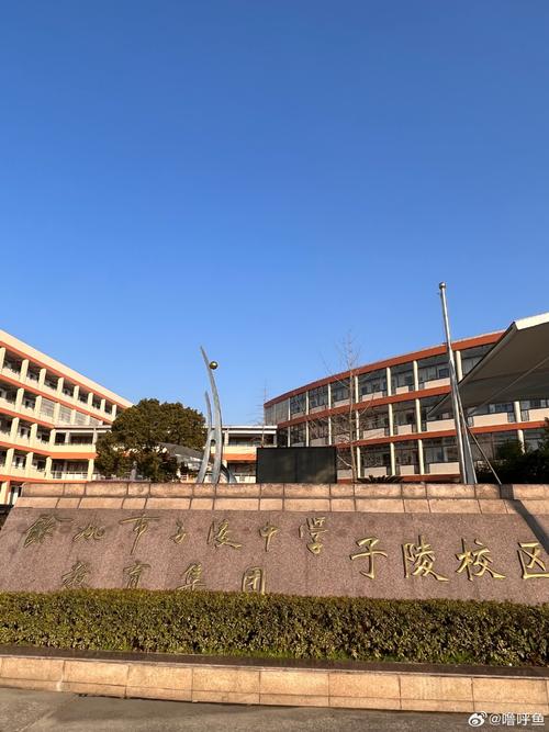 上海师范大学附属高桥实验中学