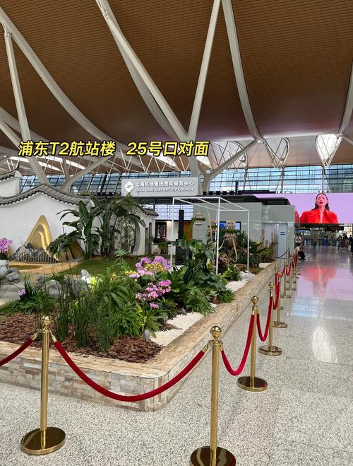 上海浦东国际机场t2航站楼