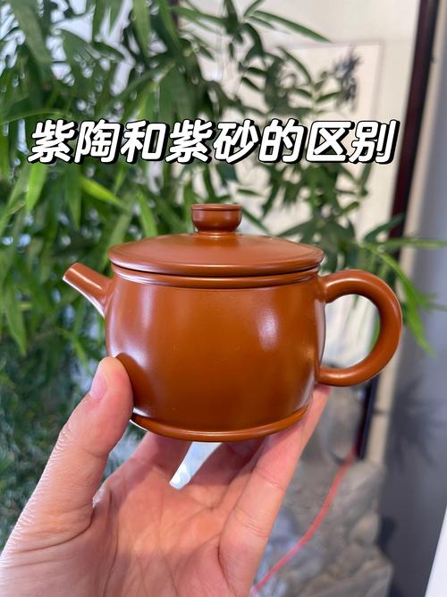 瓷壶和紫砂壶哪个喝茶好
