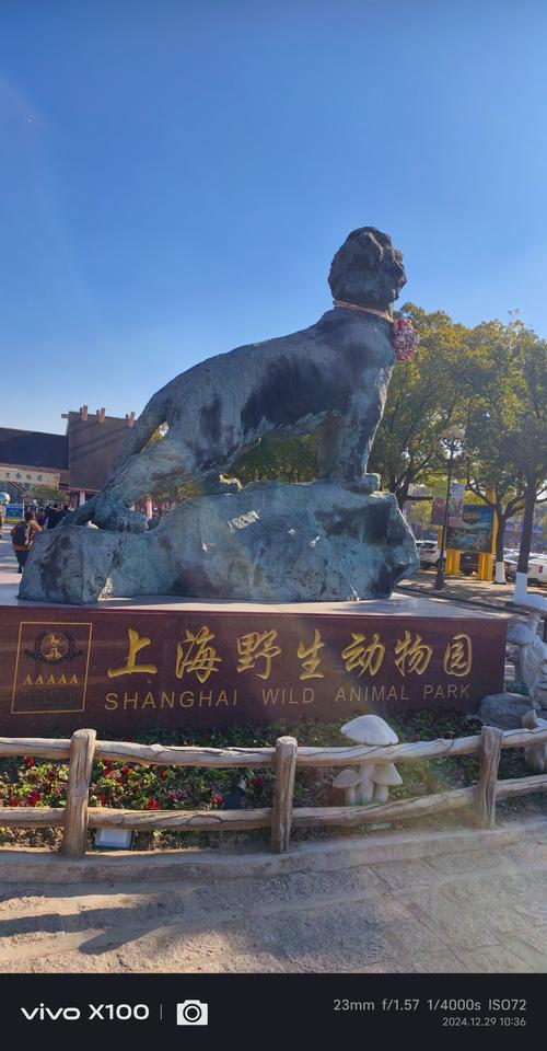 上海野生动物园最近的高铁站