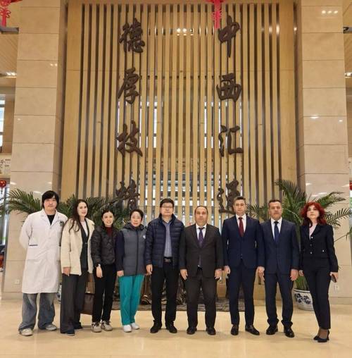 北京中医药大学第三附属医院