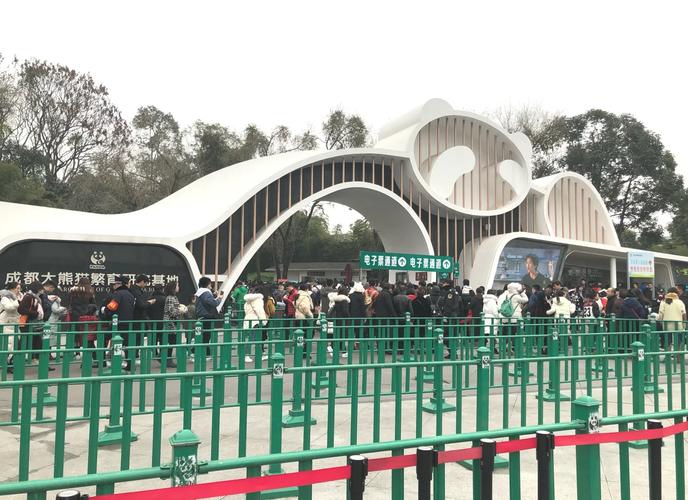 成都大熊猫繁育研究基地图片