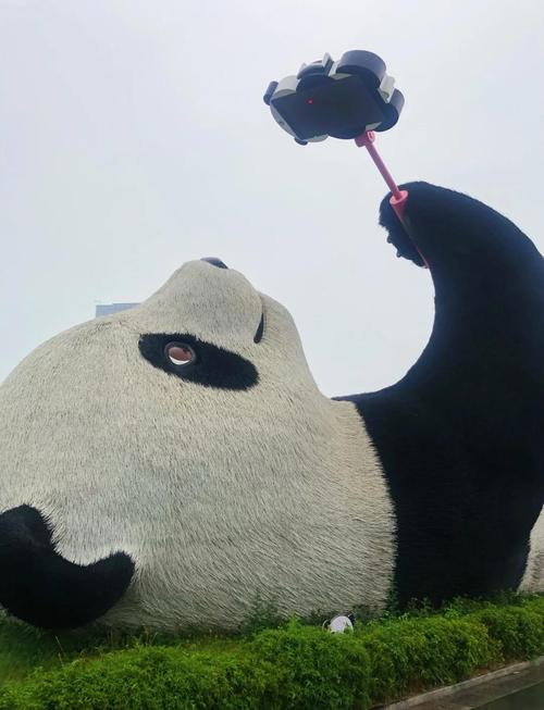 成都带孩子必须去22个地方