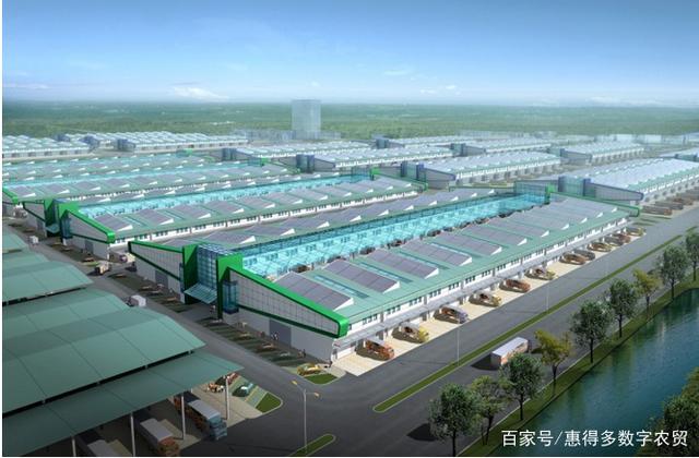 上海西郊国际农产品交易中心