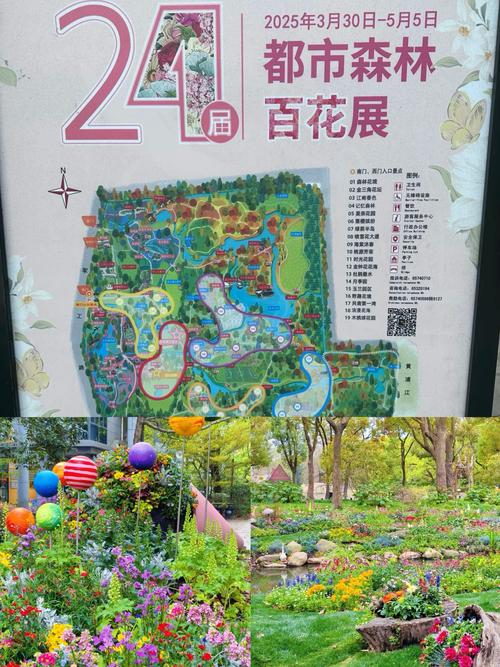 上海共青森林公园门票多少钱