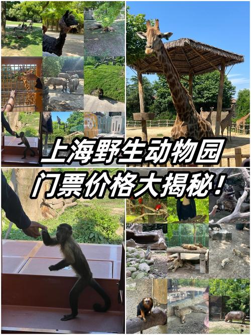上海野生动物园门票预约官网