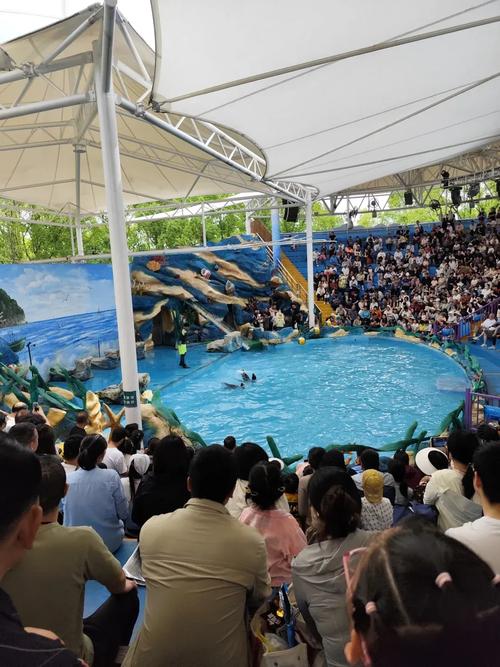 上海野生动物园百兽山剧场