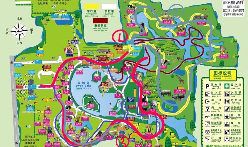 上海野生动物园在哪个位置