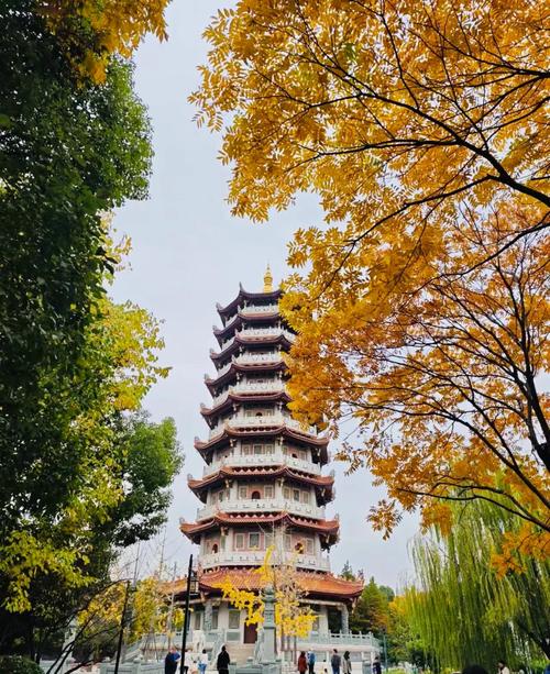 上海周边有什么好玩的地方