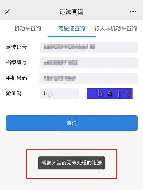 成都市电子警察交通违章查询