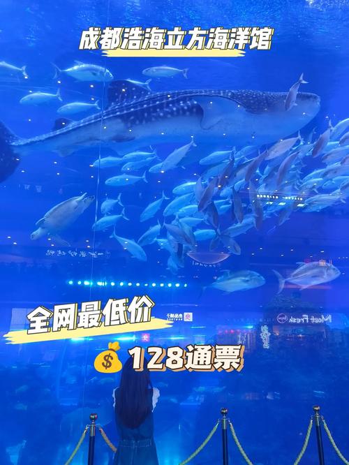 成都浩海海洋立方馆门票价格
