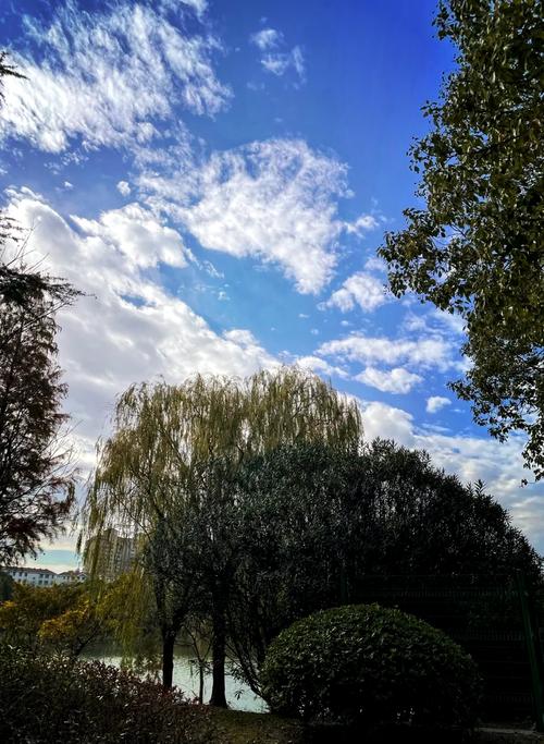 上海应用技术学院奉贤校区