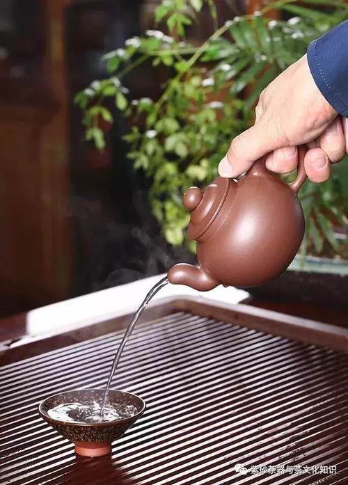 花式倒茶视频 紫砂壶