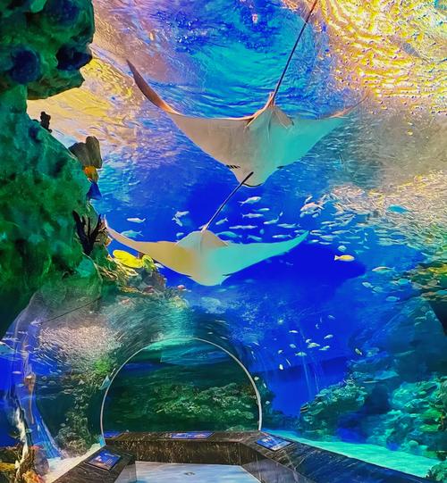 成都东站到海昌极地海洋世界