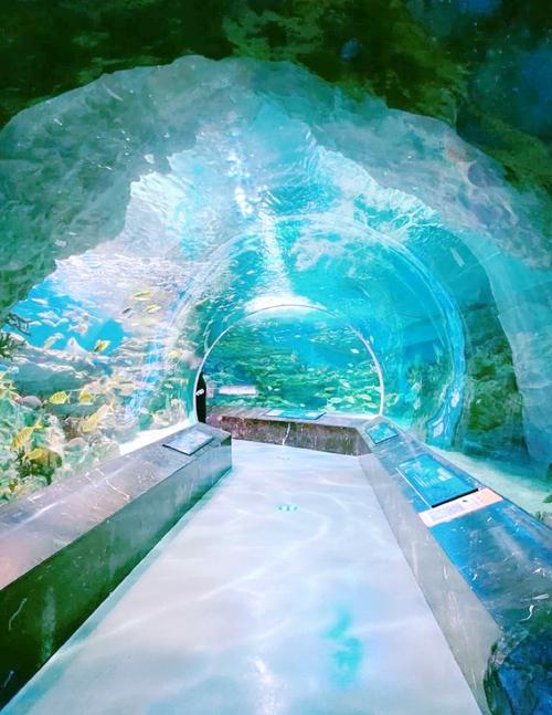 成都海昌极地海洋世界在哪里