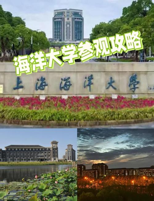 上海海洋大学继续教育学院