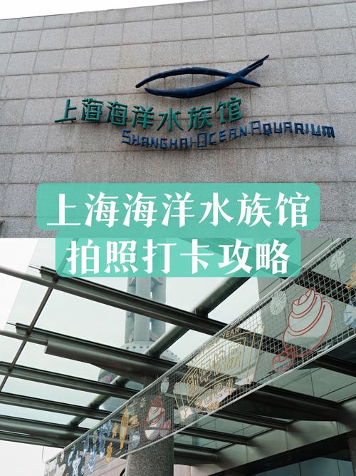 上海海洋水族馆门票多少
