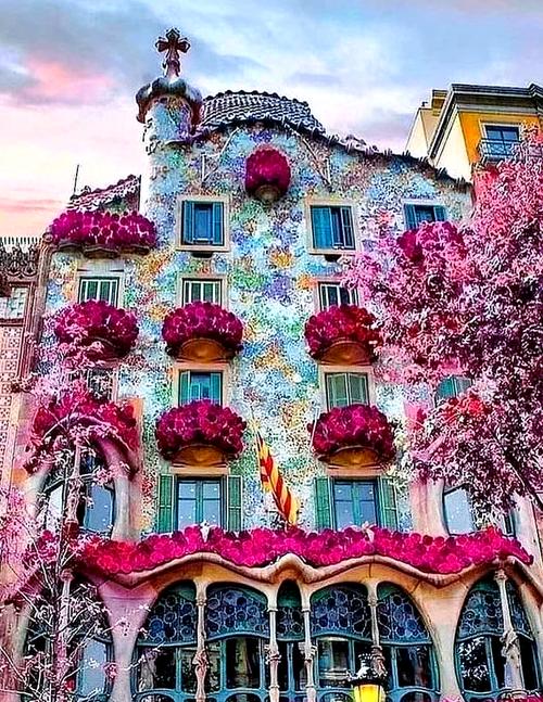 皇家加勒比游轮上海出发