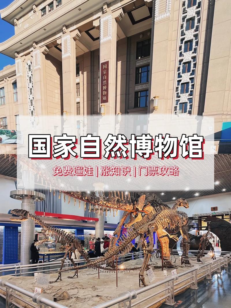 北京自然博物馆门票预约