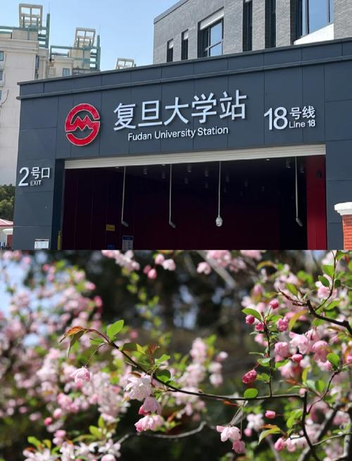 上海复旦大学可以参观吗