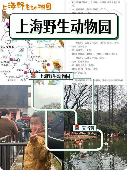 上海站到上海野生动物园