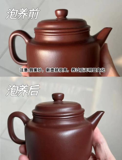 紫砂壶好还是紫陶壶好