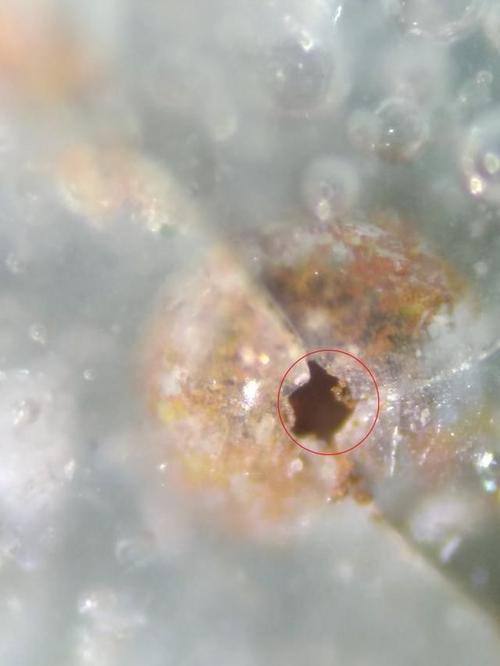 宋代龙泉窑瓷器气泡图