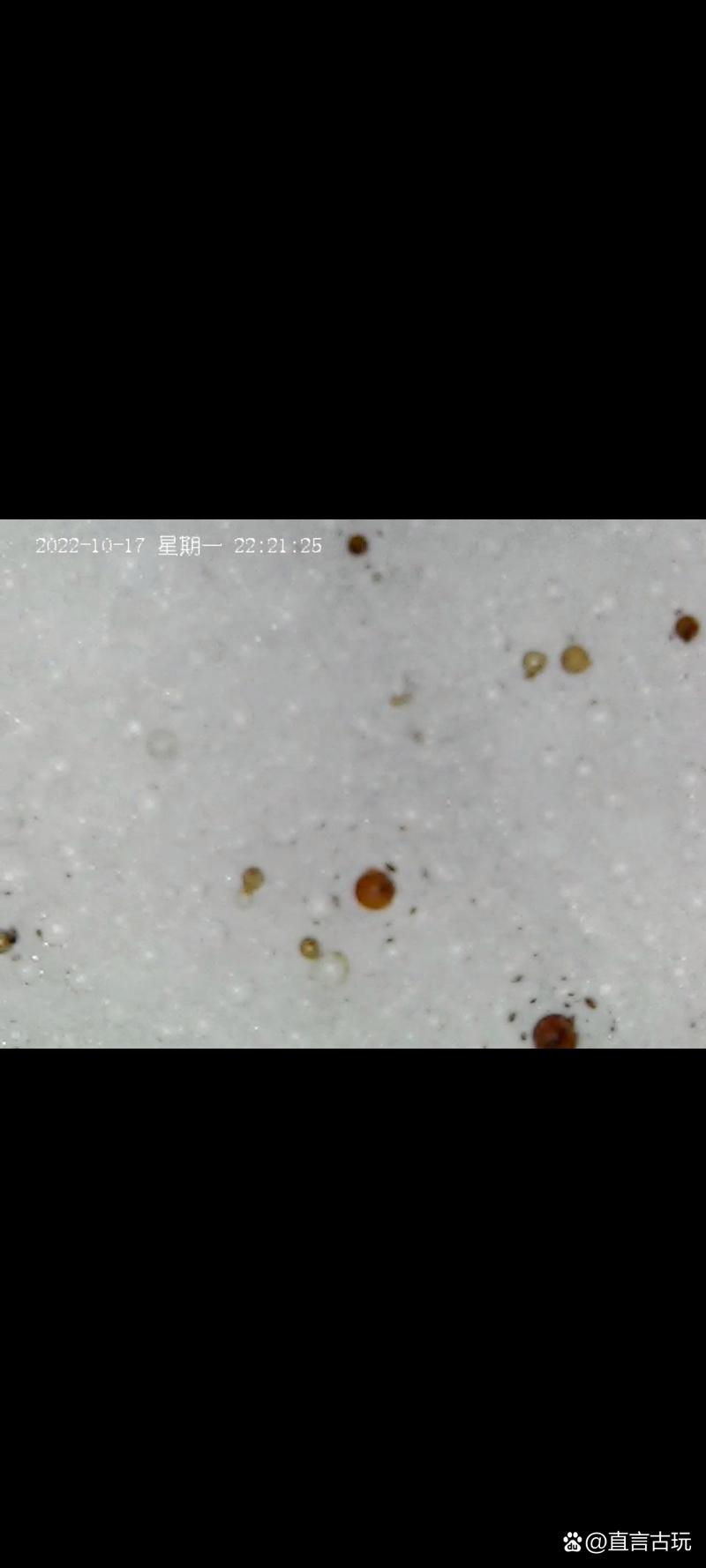 宋代龙泉窑瓷器气泡图