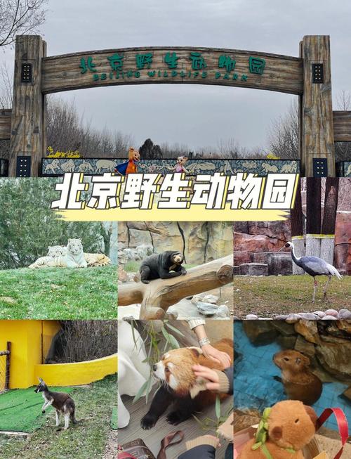 北京野生动物园游玩攻略