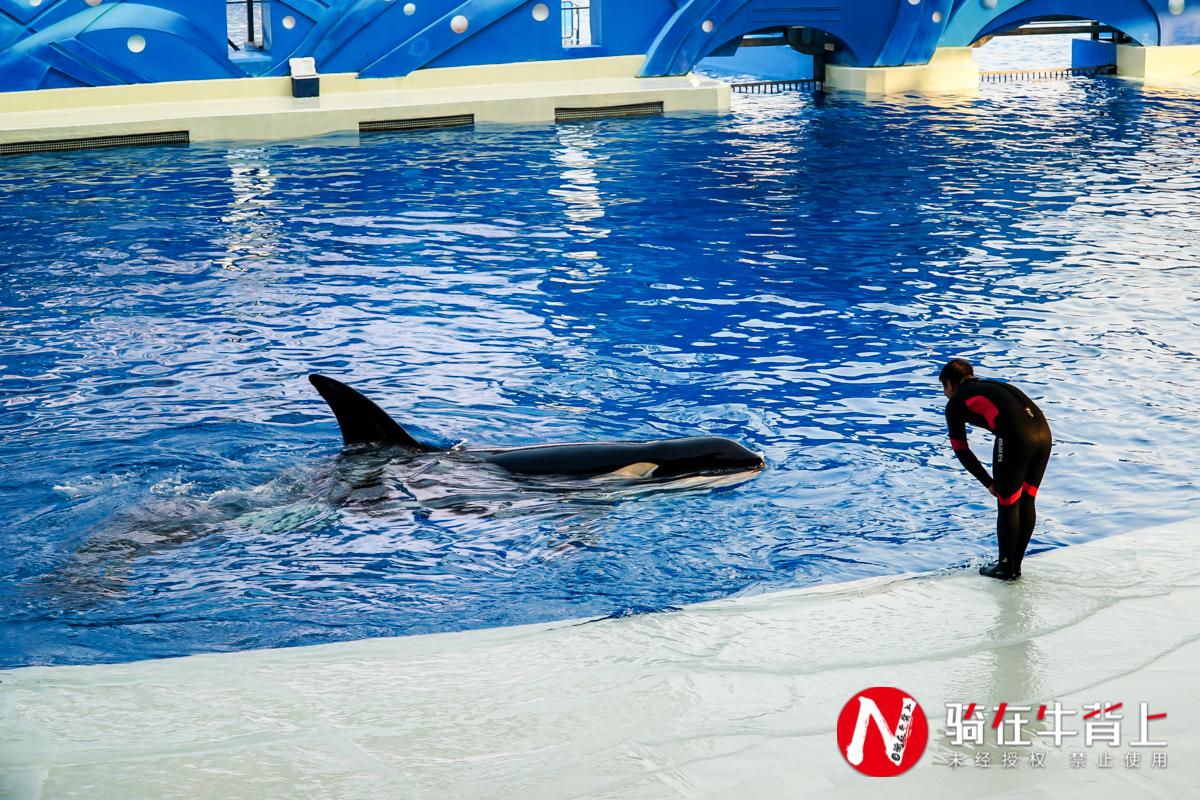 上海海洋世界门票多少钱