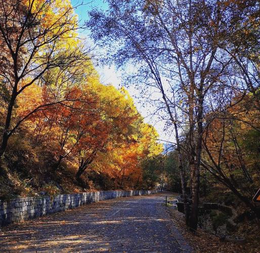 北京喇叭沟原始森林公园