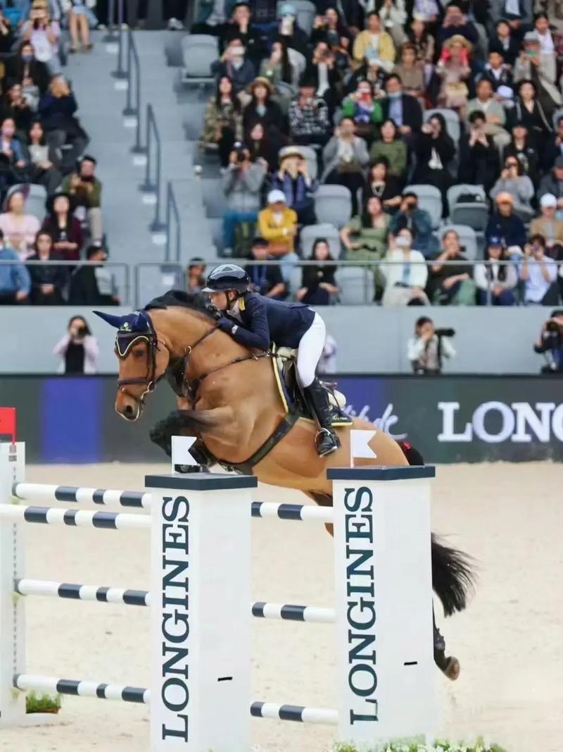 上海浪琴环球马术冠军赛