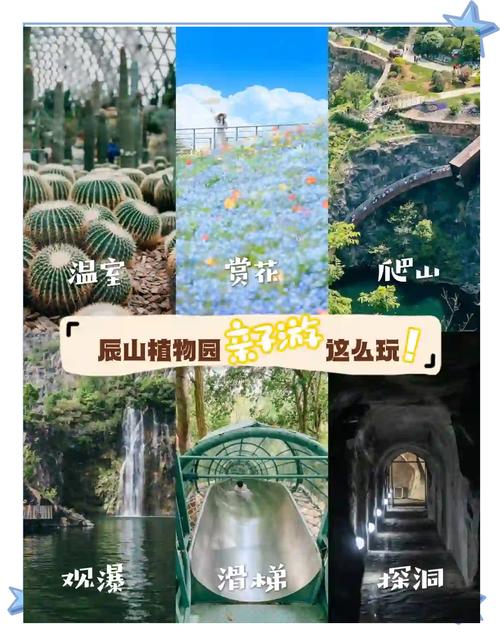 上海辰山植物园门票价格