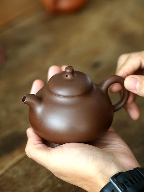 收藏紫砂壶可以养壶吗