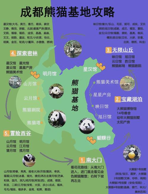 成都熊猫基地有多少只熊猫