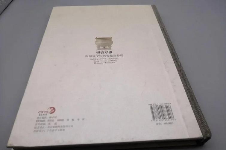 四川遂宁瓷器窖藏图书