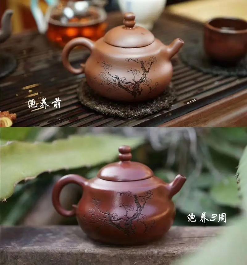 养好紫砂壶的图片欣赏