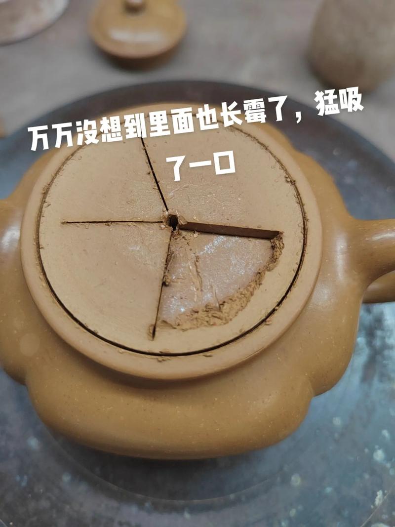 紫砂壶发霉是什么样子