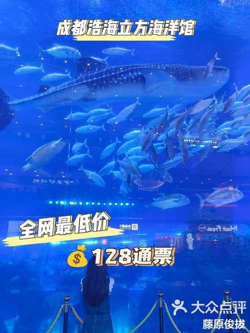 成都浩海立方海洋馆门票