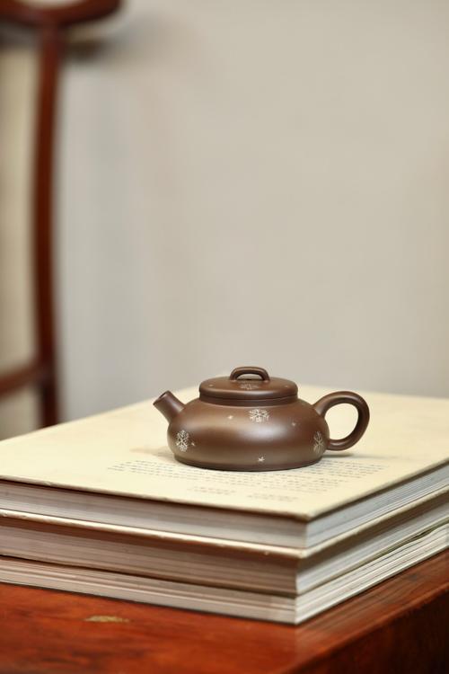 夏晓挺紫砂壶师傅照片