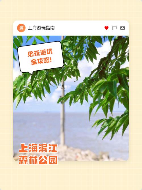上海滨江森林公园攻略