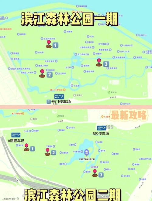 上海滨江森林公园攻略