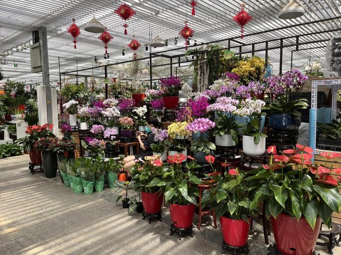 上海最大花卉批发市场