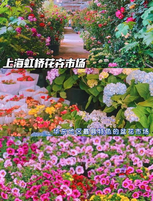 上海最大花卉批发市场