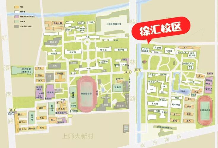 上海师范大学在哪个区