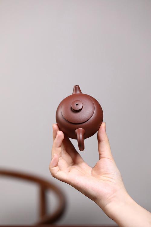 紫砂壶巨轮珠喝什么茶