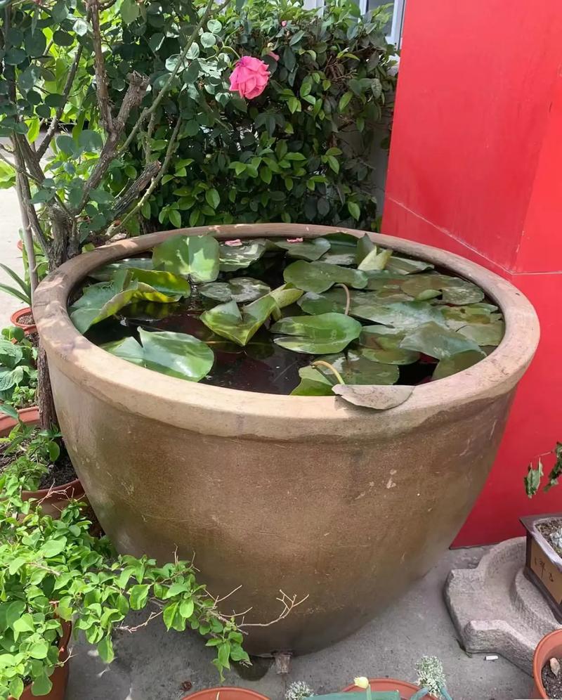 瓷器鱼缸图价格是多少