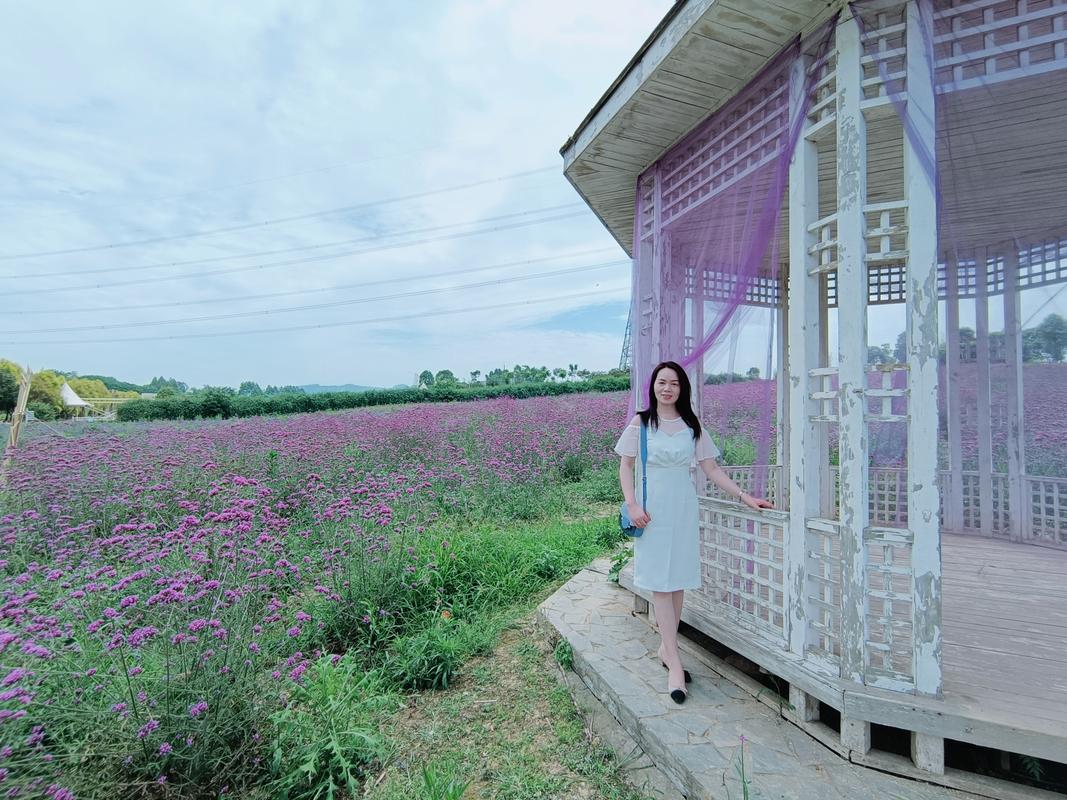 成都太平镇紫颐香薰山谷