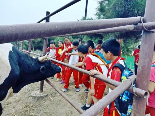 北京市朝阳区祁庄小学